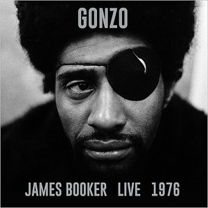 Image for 'GONZO: Live 1976'
