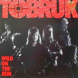 Изображение для 'Wild on the Run'