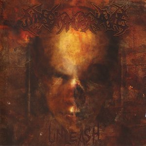 Image for 'Unleash'
