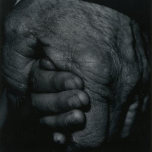 Image for 'My Father's Will'