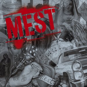 Image for 'Mest'
