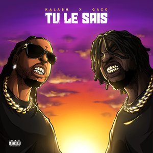 Image for 'Tu le sais'