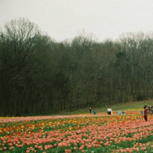 Image for 'Lr'