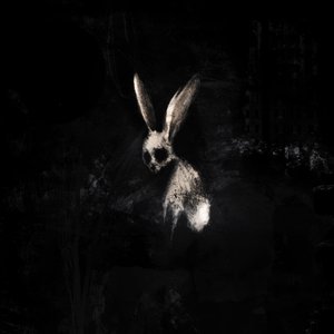 'FOLLOW THE WHITE RABBIT' için resim