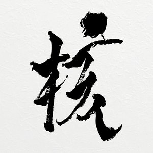 Image for 'THE CORE - 核'
