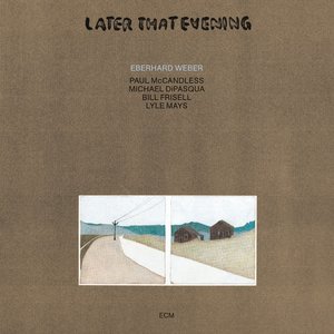 Image for 'Later That Evening'