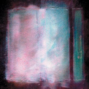 Immagine per 'Past Worn Searching'