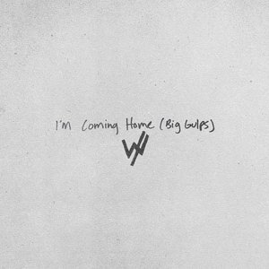 Bild für 'I'm Coming Home (Big Gulps)'