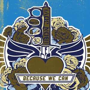 Bild för 'Because We Can'