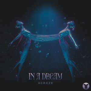 Image for 'In A Dream'