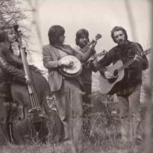Image for 'The Echo Mountain Band'