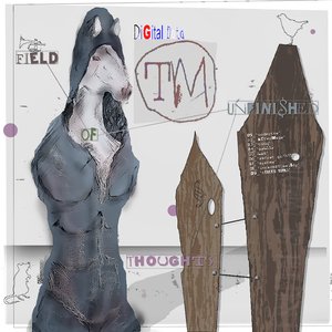 Image for 'field of unfinished thoughts'