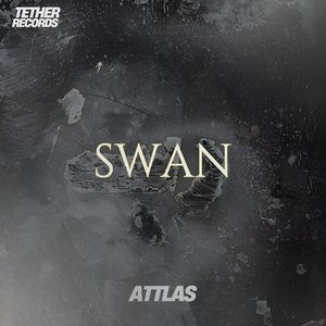 Изображение для 'SWAN'