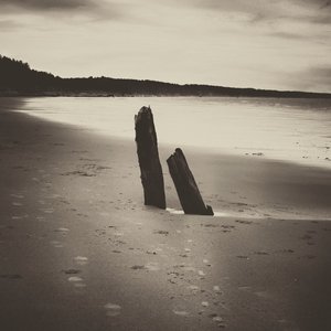 Изображение для 'The Shape of Becoming'