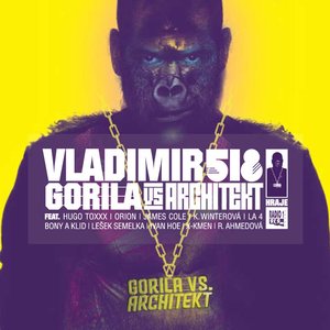Image for 'Gorila Vs. Architekt'