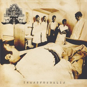 Image for 'Transformalin'