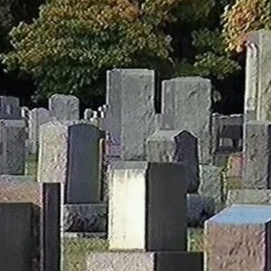 Immagine per 'Cadaver'