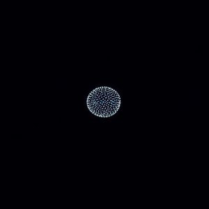 Image for '@Peace and the Plutonian Noise Symphony'