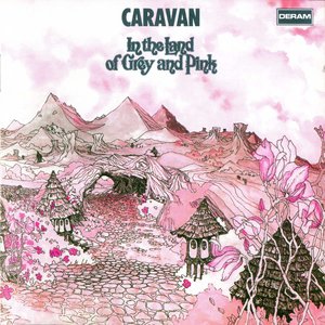 Image for 'In the land of the Grey and Pink'