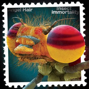 Immagine per 'Insect Immortality'