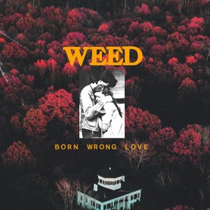 'Born Wrong Love' için resim