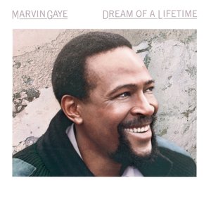 Image for 'Dream Of A Lifetime'
