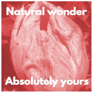 Image for 'Natural wonder'