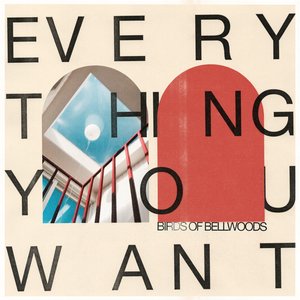 Immagine per 'Everything You Want'