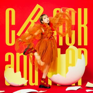 Image for 'CRACK and FLAP'