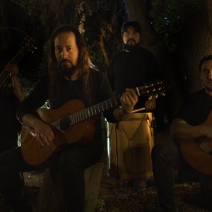 Image for 'Bosque de Hualles'