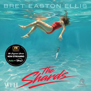 Image for 'The Shards'