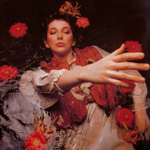 Image for 'Kate Bush'