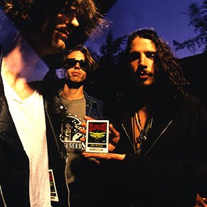 Immagine per 'Soundgarden'