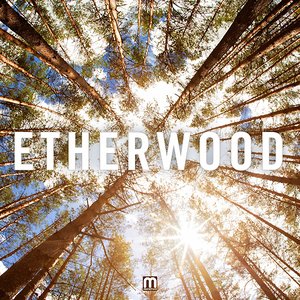 Immagine per 'Etherwood'