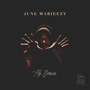 Image for 'Fly (The Remixes)'