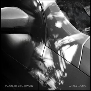 Image for 'Flores celestes'