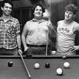 Image for 'Minutemen'