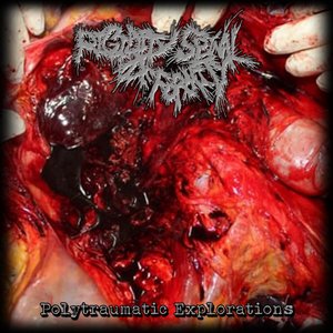 Immagine per 'Polytraumatic Explorations'