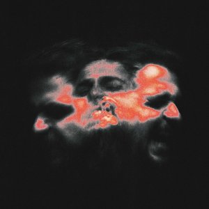 Image for 'Curcuna'