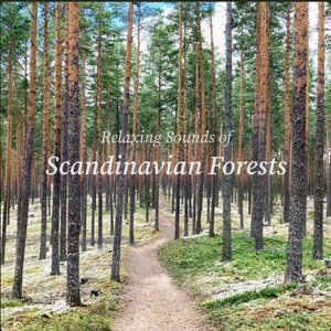 Image for 'Relaxing Sounds of Scandinavian Forests'