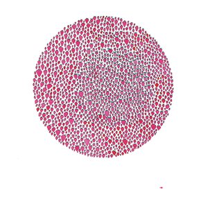 Immagine per 'An abundance of strawberries'