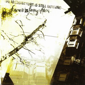 Image for 'The Architecture Is Still Burning'