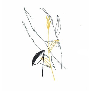 Image for 'Slow spark, soft spoke (extended edition)'