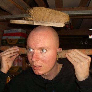 Zdjęcia dla 'Noisekick'
