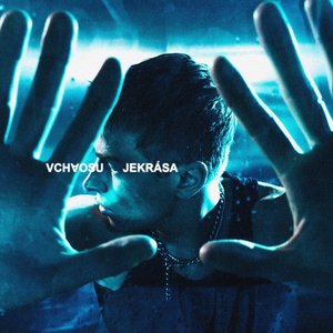Image for 'V CHAOSU JE KRÁSA'