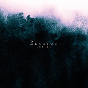 Image for 'Blossom (2025 Remaster)'