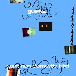 Image for 'Common Domestic Bird'
