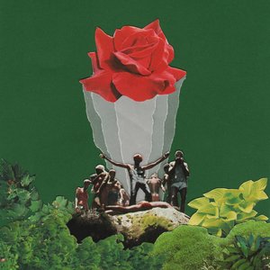 Image for 'First Bloom'