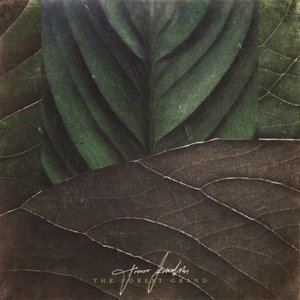 Image for 'The Forest Grand'