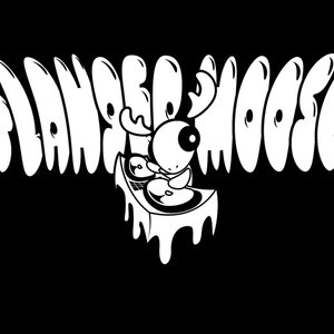 Bild für 'Flanger Moose'